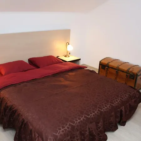 Casa Ianis 게스트하우스 브라쇼브