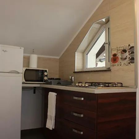 게스트하우스 Casa Ianis 브라쇼브