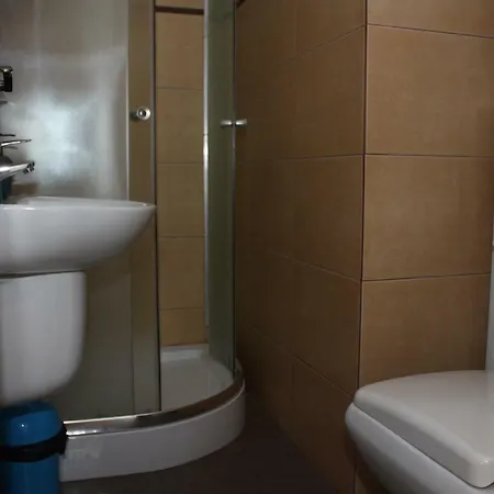 게스트하우스 Casa Ianis 브라쇼브