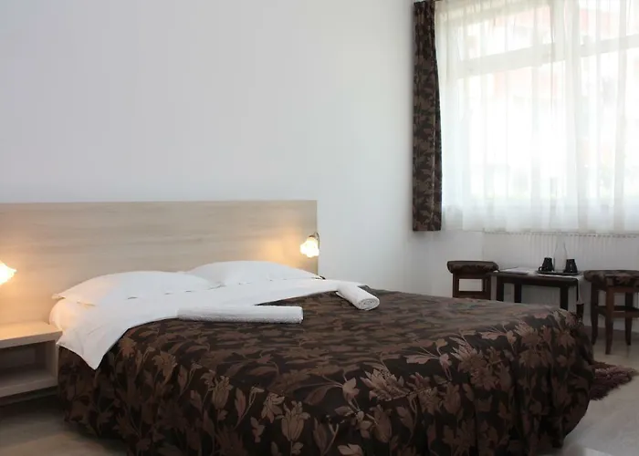 Guest house Casa Ianis Brasov