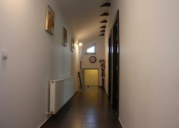 Casa Ianis 3* Brasov