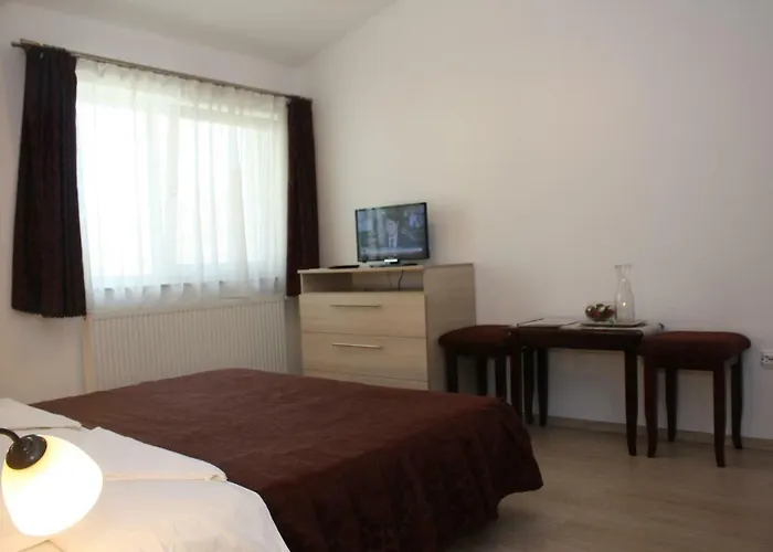 Guest house Casa Ianis 3*